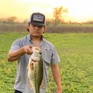 Meet your Posher, Brian